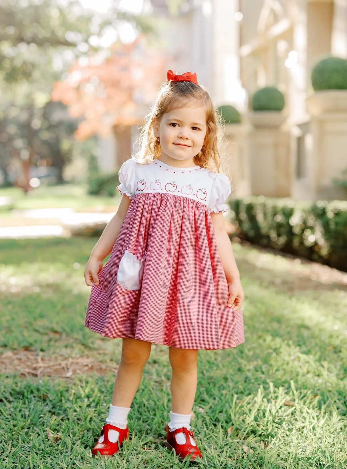 Braeburn Dress Red Gingham