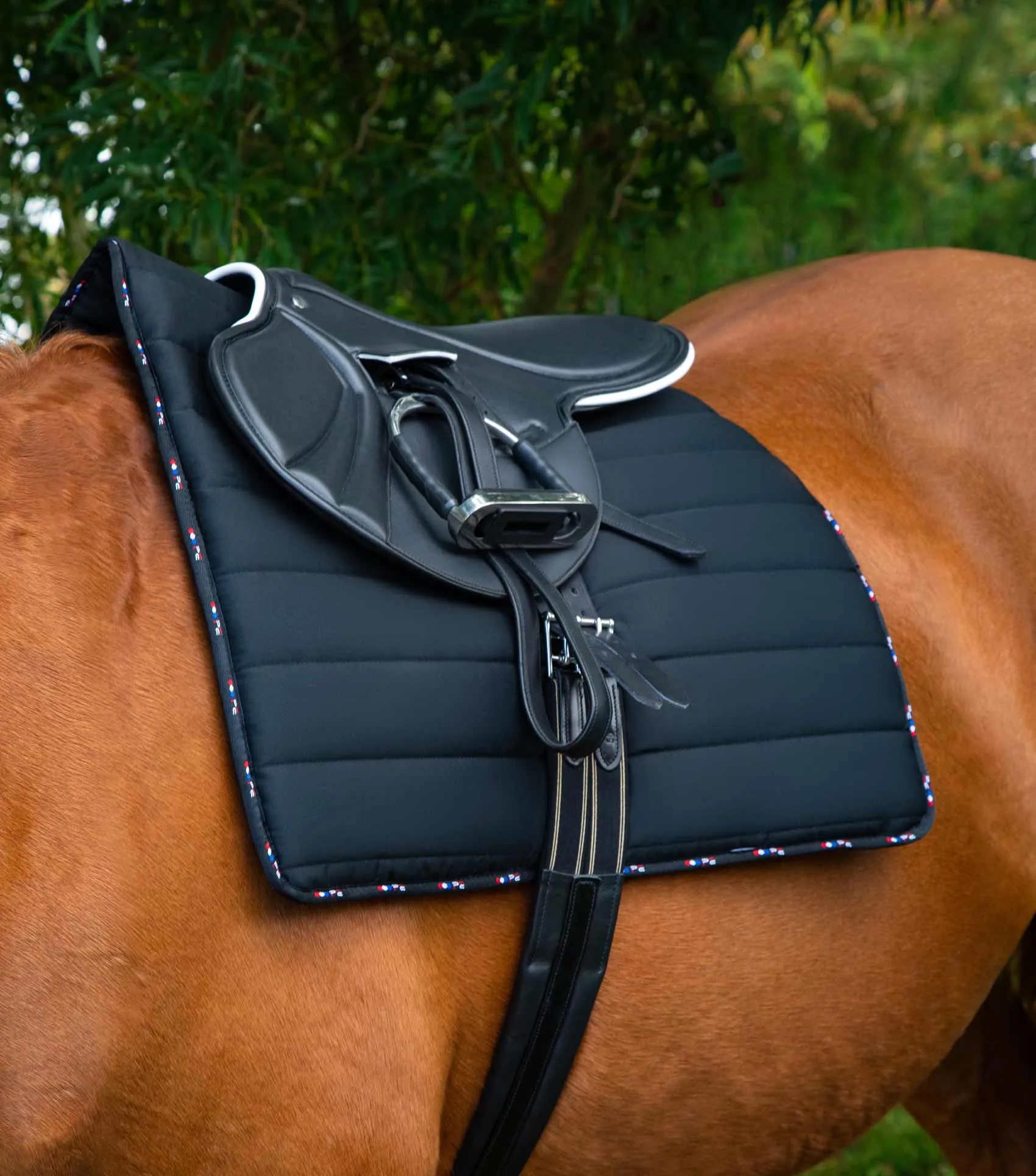 Buster Reversible Saddle Pad Black