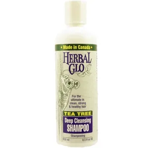 Herbal Glo Tea Tree Shampoo 250ML