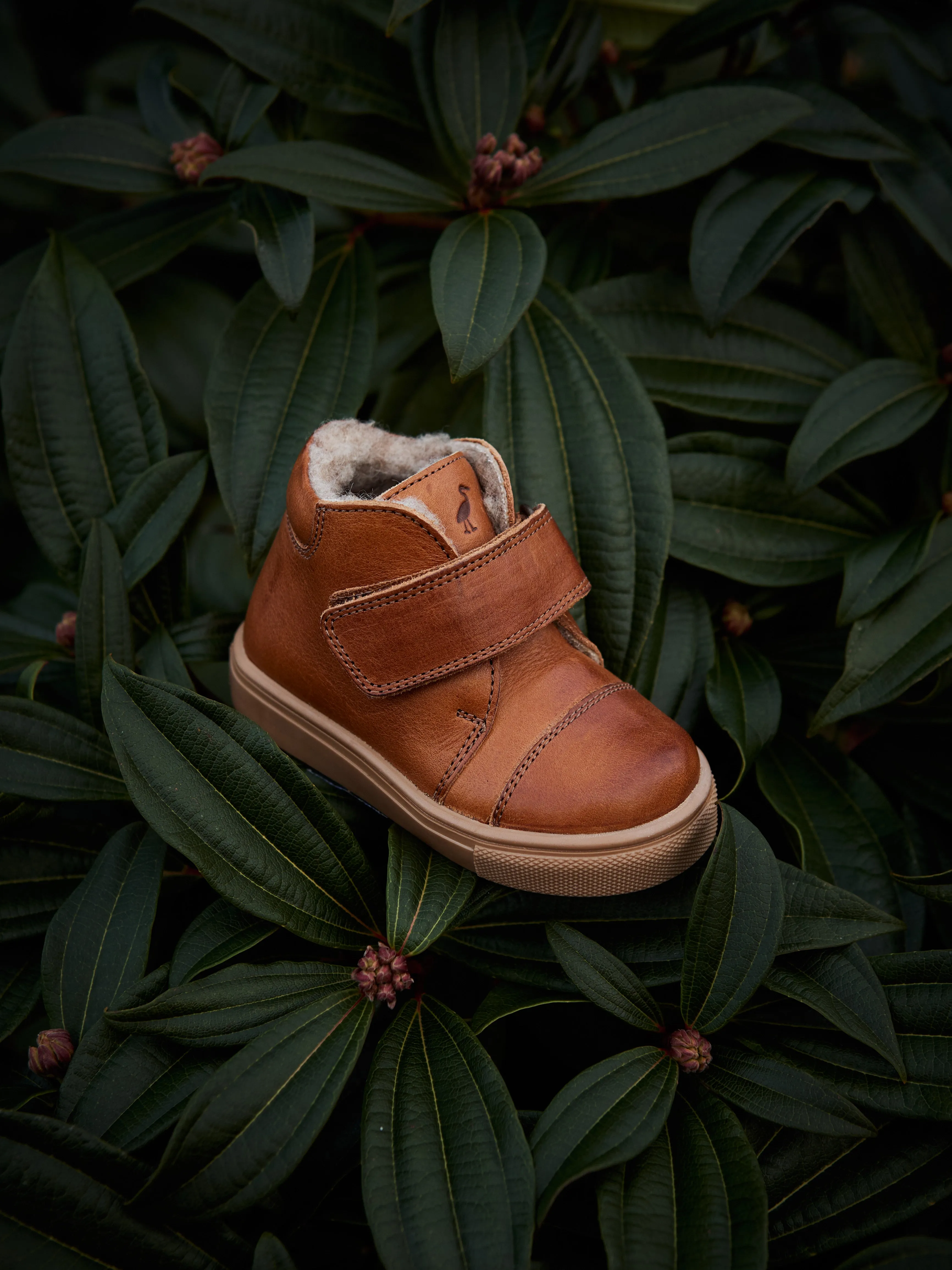 Toasty Kicks - Cognac